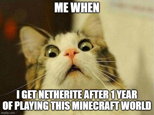 Scared Cat Meme | ME WHEN; I GET NETHERITE AFTER 1 YEAR OF PLAYING THIS MINECRAFT WORLD | image tagged in memes,scared cat | made w/ Imgflip meme maker