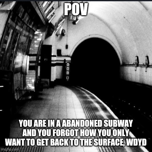 POV; YOU ARE IN A ABANDONED SUBWAY AND YOU FORGOT HOW YOU ONLY WANT TO GET BACK TO THE SURFACE, WDYD | made w/ Imgflip meme maker