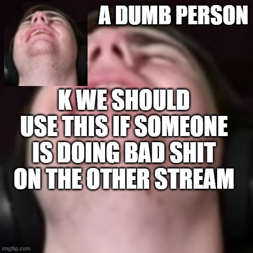 E | K WE SHOULD USE THIS IF SOMEONE IS DOING BAD SHIT ON THE OTHER STREAM | image tagged in e | made w/ Imgflip meme maker