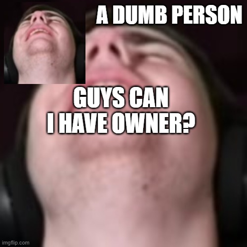 E | GUYS CAN I HAVE OWNER? | image tagged in e | made w/ Imgflip meme maker
