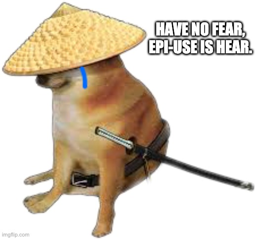 EPI-USE | HAVE NO FEAR, EPI-USE IS HEAR. | image tagged in silence wench | made w/ Imgflip meme maker