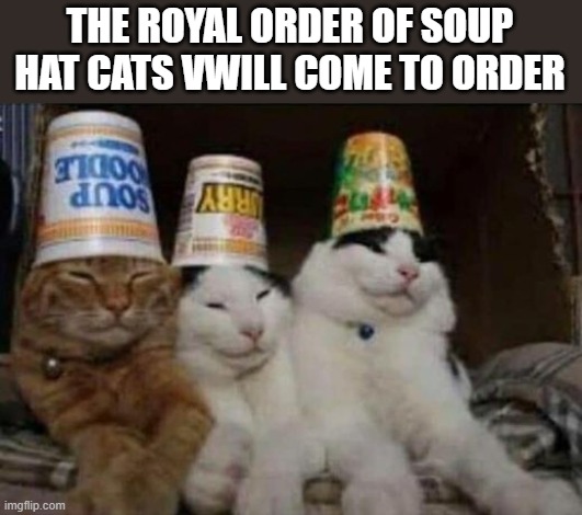 soup hat cats | THE ROYAL ORDER OF SOUP HAT CATS VWILL COME TO ORDER | image tagged in cats,soup | made w/ Imgflip meme maker