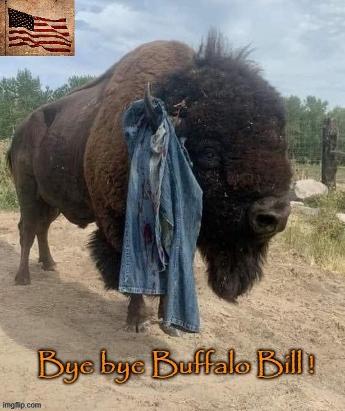 Bye bye Buffalo Bill | image tagged in bison | made w/ Imgflip meme maker