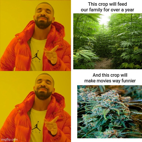 Drake Hotline Bling | This crop will feed our family for over a year; And this crop will make movies way funnier | image tagged in memes,drake hotline bling | made w/ Imgflip meme maker