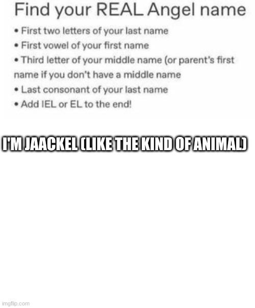 try it out | I'M JAACKEL (LIKE THE KIND OF ANIMAL) | image tagged in blank white template,angel | made w/ Imgflip meme maker
