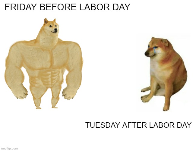 Buff Doge vs. Cheems | FRIDAY BEFORE LABOR DAY; TUESDAY AFTER LABOR DAY | image tagged in memes,buff doge vs cheems,labor day,weekend | made w/ Imgflip meme maker