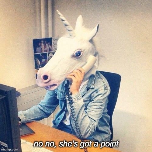 Unicorn phone no no she's got a point | image tagged in unicorn phone no no she's got a point | made w/ Imgflip meme maker