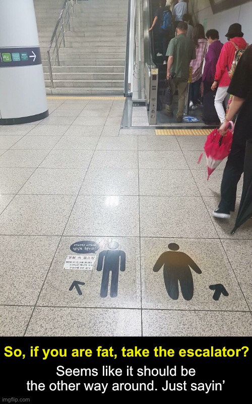 Take the Stairs | So, if you are fat, take the escalator? Seems like it should be the other way around. Just sayin’ | image tagged in funny memes | made w/ Imgflip meme maker