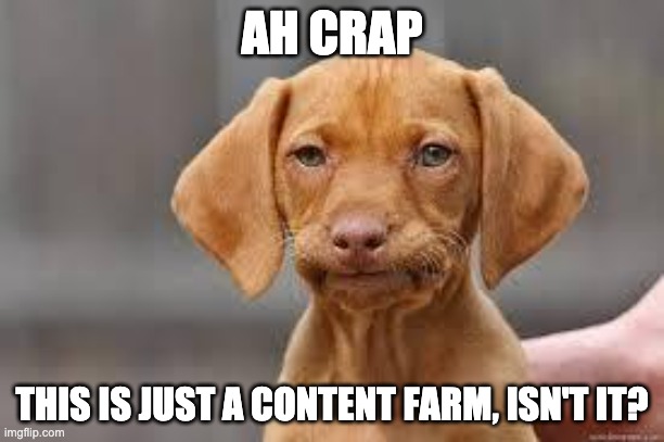 Disappointed Dog | AH CRAP; THIS IS JUST A CONTENT FARM, ISN'T IT? | image tagged in disappointed dog | made w/ Imgflip meme maker