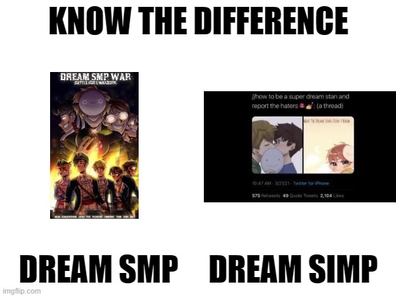 I love dream but i don't stan him | KNOW THE DIFFERENCE; DREAM SMP     DREAM SIMP | image tagged in blank white template,dream,minecraft,memes,dank | made w/ Imgflip meme maker