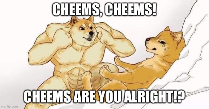 think cheems | CHEEMS, CHEEMS! CHEEMS ARE YOU ALRIGHT!? | image tagged in think cheems | made w/ Imgflip meme maker