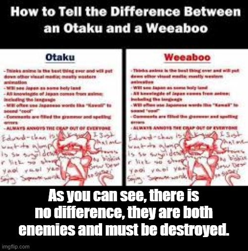 otaku and weeaboo mean the same stupid thing, we prefer to use weeaboo though because it is derogatory. | As you can see, there is no difference, they are both enemies and must be destroyed. | image tagged in e | made w/ Imgflip meme maker