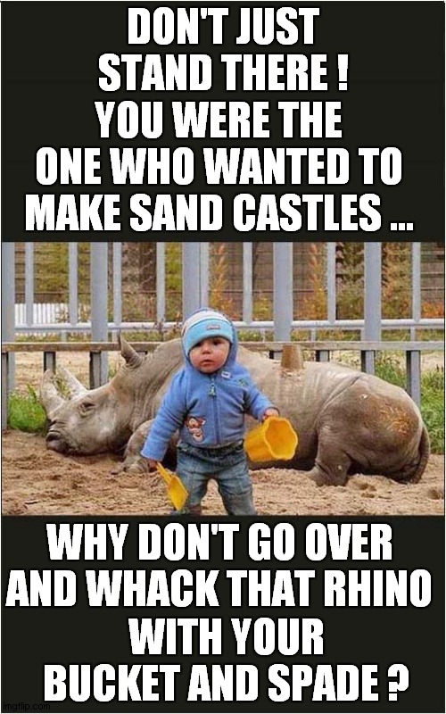 When You Hate Your Child: Death By Rhino | DON'T JUST STAND THERE ! YOU WERE THE ONE WHO WANTED TO MAKE SAND CASTLES ... WHY DON'T GO OVER AND WHACK THAT RHINO; WITH YOUR BUCKET AND SPADE ? | image tagged in hate,child,sand castles,dark humour | made w/ Imgflip meme maker