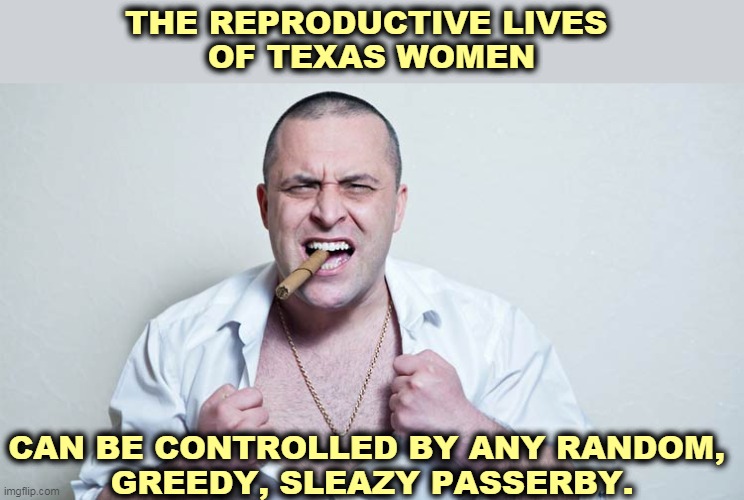 Since when is this The American Way? | THE REPRODUCTIVE LIVES 
OF TEXAS WOMEN; CAN BE CONTROLLED BY ANY RANDOM, 
GREEDY, SLEAZY PASSERBY. | image tagged in supreme court,texas,abortion,bounty hunter,women,dead | made w/ Imgflip meme maker