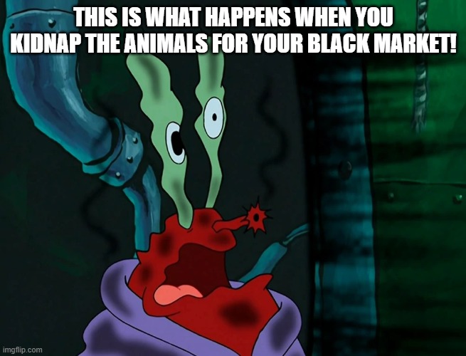 Shocking Mr. Krabs |  THIS IS WHAT HAPPENS WHEN YOU KIDNAP THE ANIMALS FOR YOUR BLACK MARKET! | image tagged in spongebob,funny | made w/ Imgflip meme maker