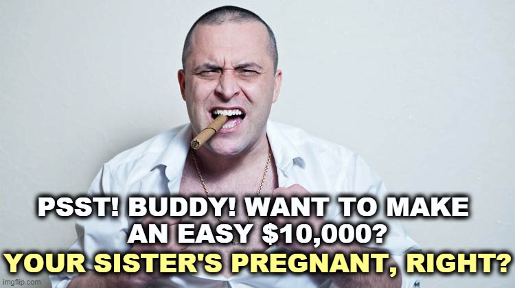 Tell you what, I've got a plan. | PSST! BUDDY! WANT TO MAKE 
AN EASY $10,000? YOUR SISTER'S PREGNANT, RIGHT? | image tagged in supreme court,texas,abortion,bounty hunter,women | made w/ Imgflip meme maker