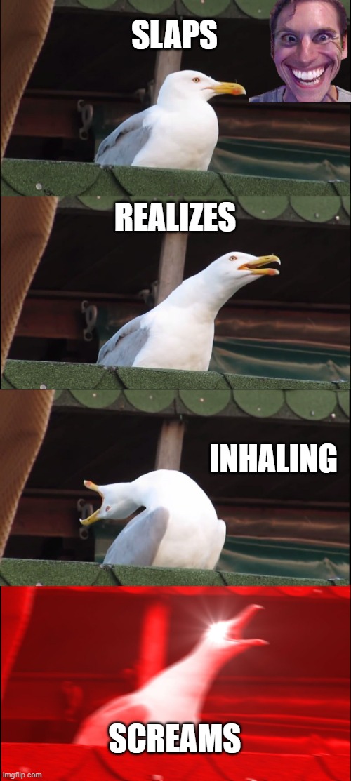 Inhaling Seagull | SLAPS; REALIZES; INHALING; SCREAMS | image tagged in memes,inhaling seagull | made w/ Imgflip meme maker