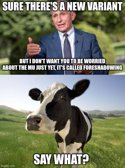 Dr. Clown Show | SURE THERE'S A NEW VARIANT; BUT I DON'T WANT YOU TO BE WORRIED ABOUT THE MU JUST YET, IT'S CALLED FORESHADOWING; SAY WHAT? | image tagged in cow,fauci,covid,agenda 21 | made w/ Imgflip meme maker