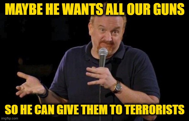 Louis ck but maybe | MAYBE HE WANTS ALL OUR GUNS SO HE CAN GIVE THEM TO TERRORISTS | image tagged in louis ck but maybe | made w/ Imgflip meme maker