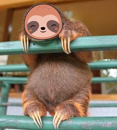 Unnecessary amounts of sloth | image tagged in sloth cute sloth | made w/ Imgflip meme maker