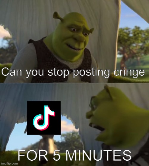 i hate tiktok but i use it idk why | Can you stop posting cringe; FOR 5 MINUTES | image tagged in could you not ___ for 5 minutes,tiktok,cringe | made w/ Imgflip meme maker