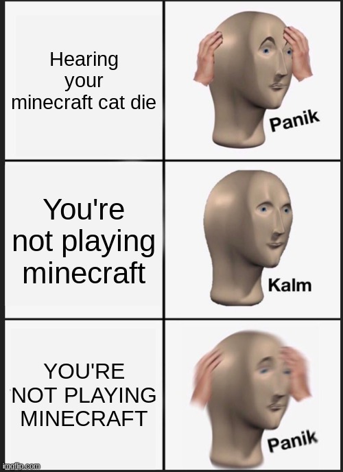 Uh oh.... | Hearing your minecraft cat die; You're not playing minecraft; YOU'RE NOT PLAYING MINECRAFT | image tagged in memes,panik kalm panik | made w/ Imgflip meme maker