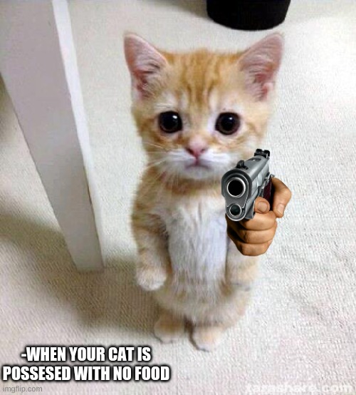Cute Cat Meme | -WHEN YOUR CAT IS POSSESED WITH NO FOOD | image tagged in memes,cute cat | made w/ Imgflip meme maker