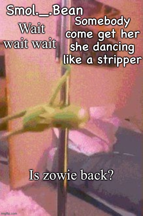 Anyways | Wait wait wait; Is zowie back? | image tagged in anyways | made w/ Imgflip meme maker