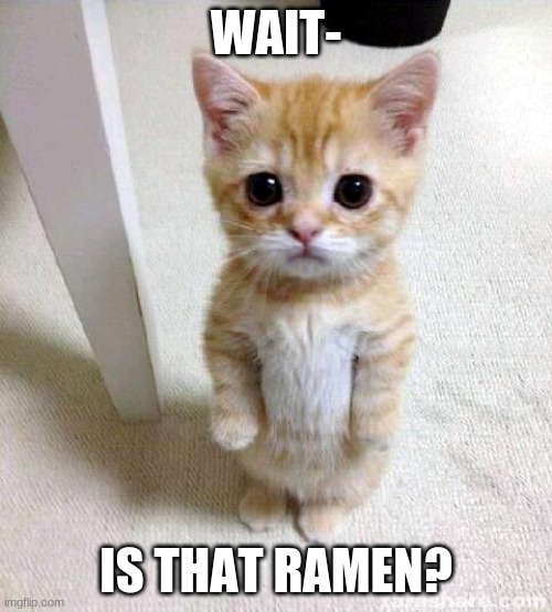 Cute Cat | WAIT-; IS THAT RAMEN? | image tagged in memes,cute cat | made w/ Imgflip meme maker
