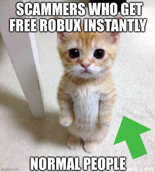 Cute Cat Meme | SCAMMERS WHO GET FREE ROBUX INSTANTLY; NORMAL PEOPLE | image tagged in memes,cute cat | made w/ Imgflip meme maker
