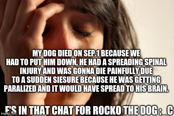 why | MY DOG DIED ON SEP.1 BECAUSE WE HAD TO PUT HIM DOWN, HE HAD A SPREADING SPINAL INJURY AND WAS GONNA DIE PAINFULLY DUE TO A SUDDEN SIESURE BECAUSE HE WAS GETTING PARALIZED AND IT WOULD HAVE SPREAD TO HIS BRAIN. F'S IN THAT CHAT FOR ROCKO THE DOG ;_C | image tagged in memes,first world problems | made w/ Imgflip meme maker