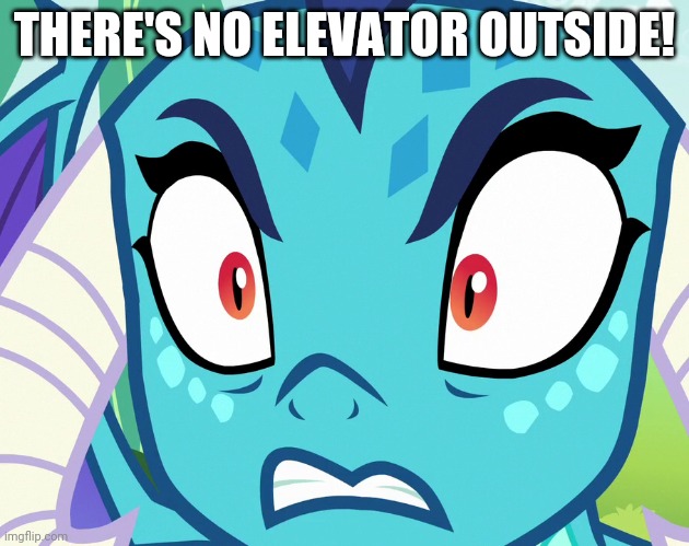  THERE'S NO ELEVATOR OUTSIDE! | image tagged in angry,elevator | made w/ Imgflip meme maker