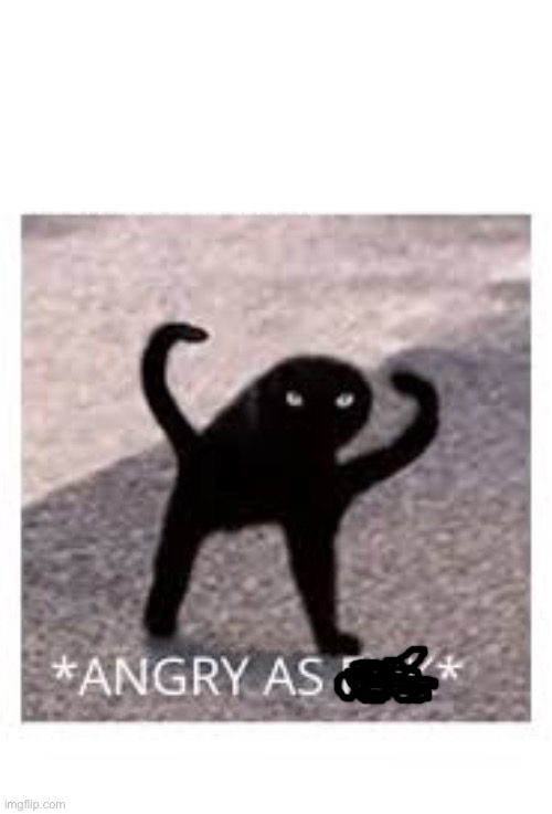 Angery as Fuk | image tagged in angery as fuk | made w/ Imgflip meme maker