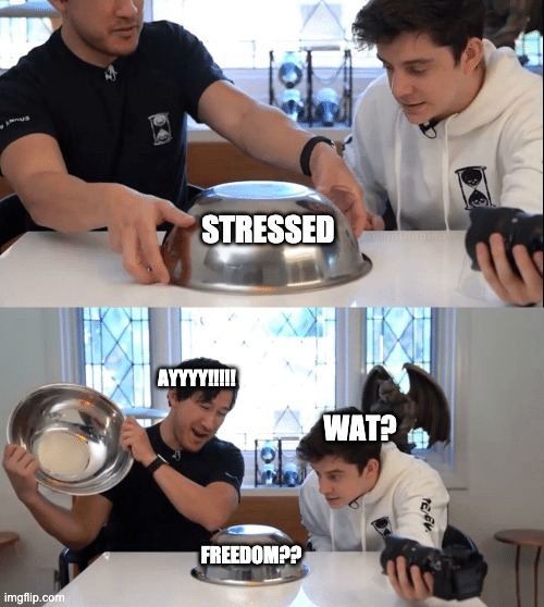 my life |  STRESSED; AYYYY!!!!! WAT? FREEDOM?? | image tagged in unus annus | made w/ Imgflip meme maker