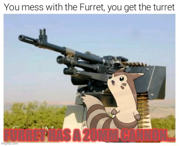 FURRET HAS A 20MM CANNON... | made w/ Imgflip meme maker