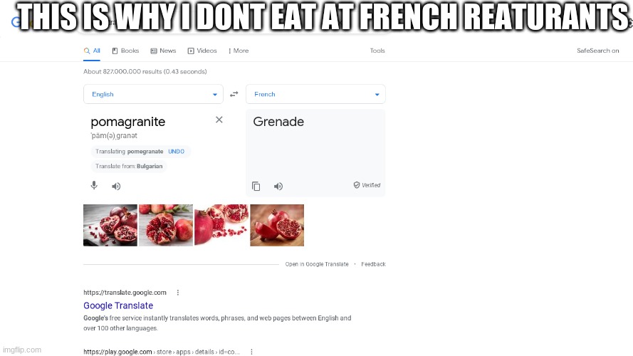 THIS IS WHY I DONT EAT AT FRENCH REATURANTS | image tagged in french | made w/ Imgflip meme maker
