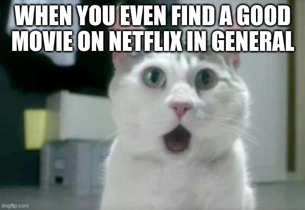 OMG Cat Meme | WHEN YOU EVEN FIND A GOOD MOVIE ON NETFLIX IN GENERAL | image tagged in memes,omg cat | made w/ Imgflip meme maker