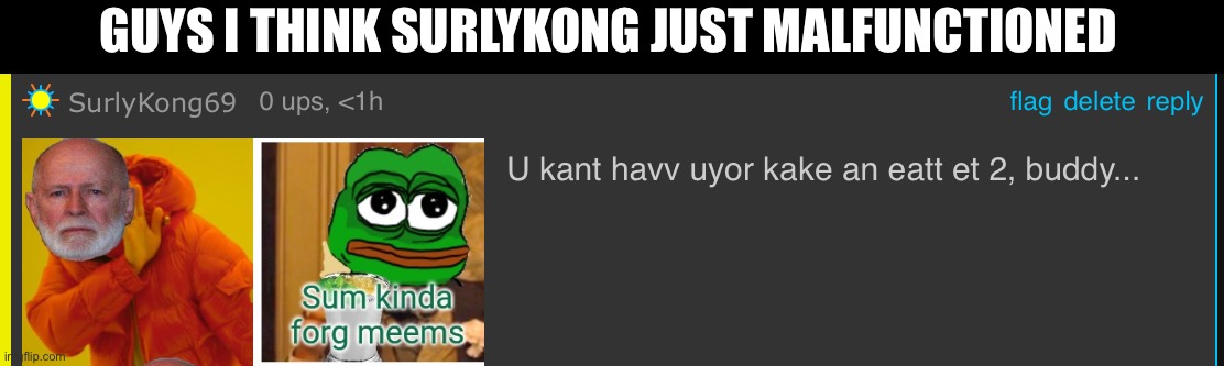 SurlyKong was weird enough before. Just like Richard he’s now become completely incomprehensible. | GUYS I THINK SURLYKONG JUST MALFUNCTIONED | made w/ Imgflip meme maker