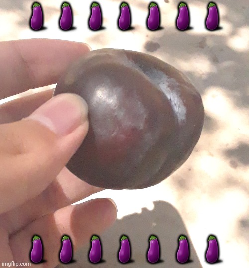 Black plum | 🍆🍆🍆🍆🍆🍆🍆; 🍆🍆🍆🍆🍆🍆🍆 | image tagged in memes | made w/ Imgflip meme maker