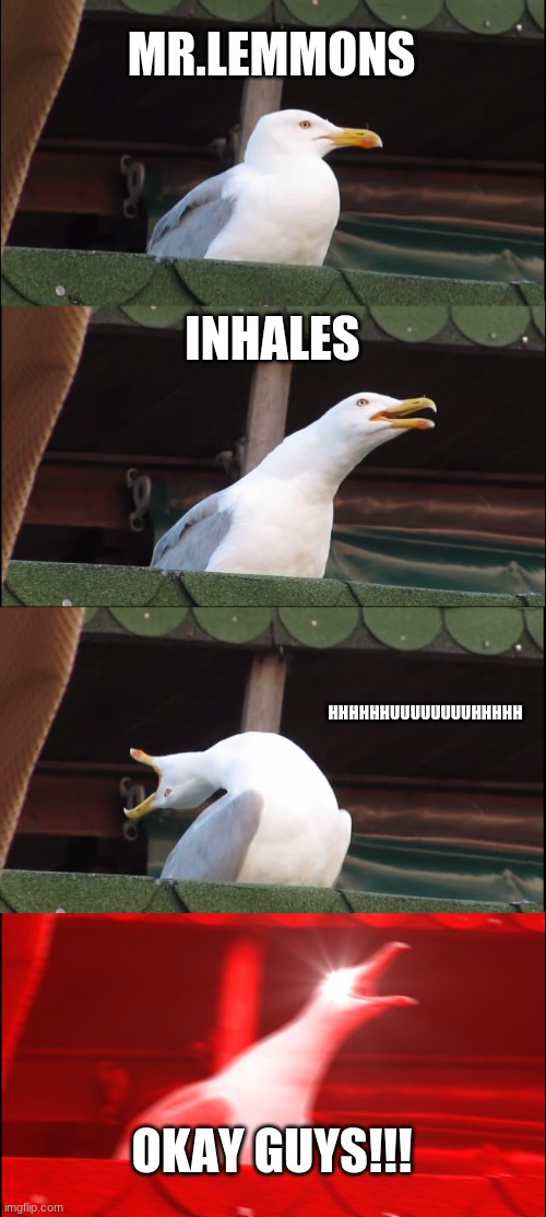 Inhaling Seagull Meme | MR.LEMMONS; INHALES; HHHHHHUUUUUUUUHHHHH; OKAY GUYS!!! | image tagged in memes,inhaling seagull | made w/ Imgflip meme maker
