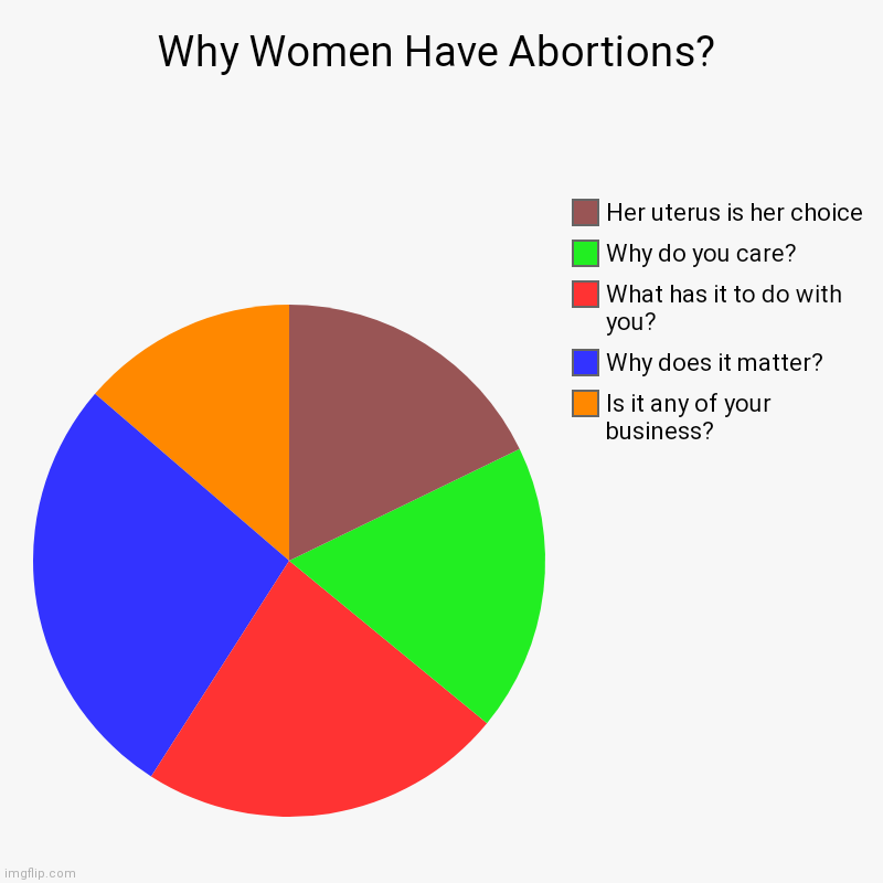 Why women have abortions | Why Women Have Abortions? | Is it any of your business?, Why does it matter?, What has it to do with you?, Why do you care?, Her uterus is h | image tagged in charts,pie charts,pro life,pro choice | made w/ Imgflip chart maker