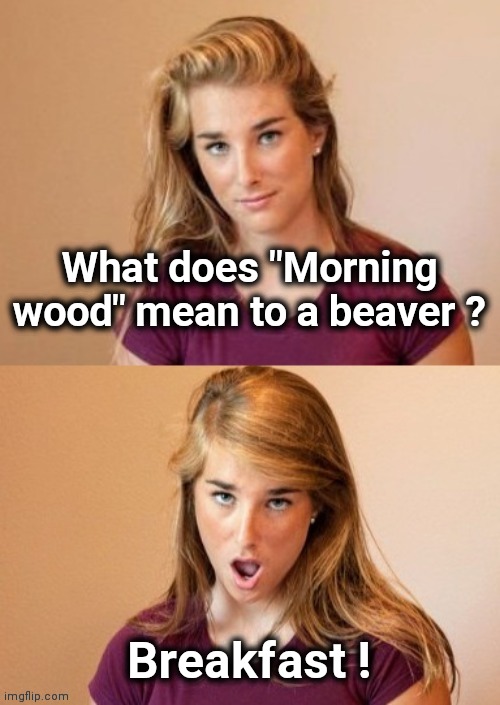 When you see it | What does "Morning wood" mean to a beaver ? Breakfast ! | image tagged in when you see it | made w/ Imgflip meme maker