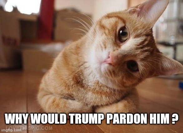 Curious Question Cat | WHY WOULD TRUMP PARDON HIM ? | image tagged in curious question cat | made w/ Imgflip meme maker