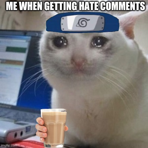 :( choccy milk make pain go away | ME WHEN GETTING HATE COMMENTS | image tagged in crying cat | made w/ Imgflip meme maker
