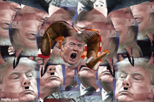 image tagged in gifs | made w/ Imgflip images-to-gif maker