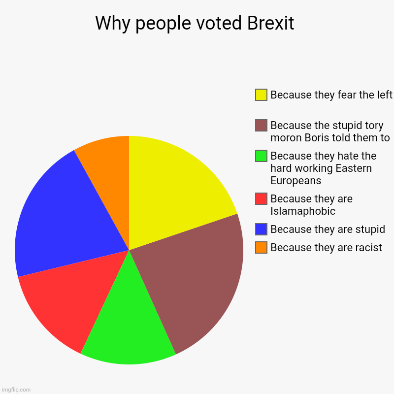 Why idiots voted Brexit | Why people voted Brexit | Because they are racist, Because they are stupid , Because they are Islamaphobic, Because they hate the hard worki | image tagged in charts,pie charts,brexit,brexshit | made w/ Imgflip chart maker