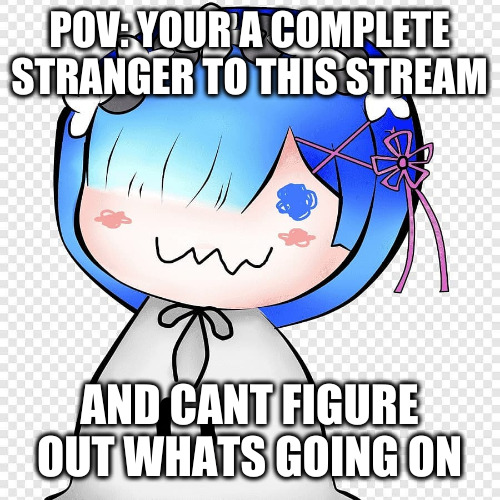 your stream gets confusing | POV: YOUR A COMPLETE STRANGER TO THIS STREAM; AND CANT FIGURE OUT WHATS GOING ON | made w/ Imgflip meme maker