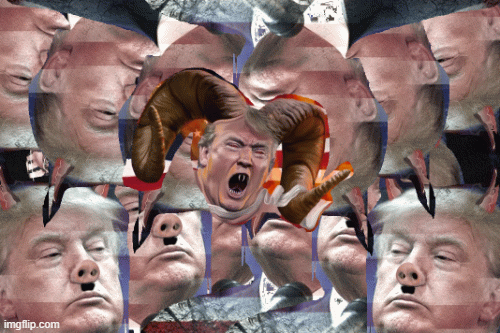 image tagged in gifs | made w/ Imgflip images-to-gif maker