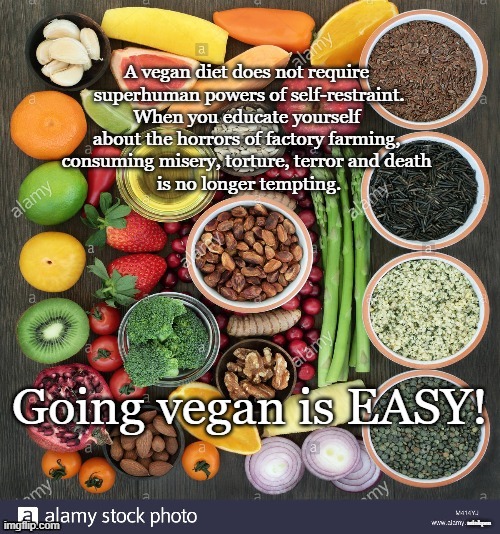 Going vegan is easy! | minkpen | image tagged in vegan,vegetarian,meat,diet,farming,dairy | made w/ Imgflip meme maker