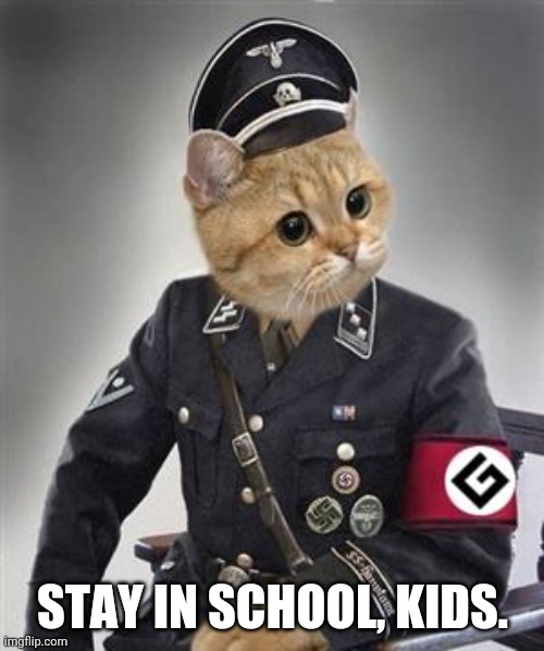 Grammar Nazi Cat | STAY IN SCHOOL, KIDS. | image tagged in grammar nazi cat | made w/ Imgflip meme maker